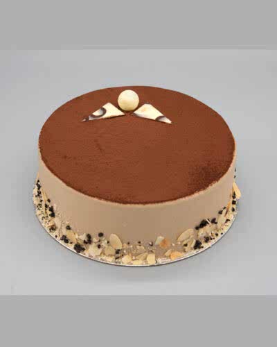 Tiramisu Cake